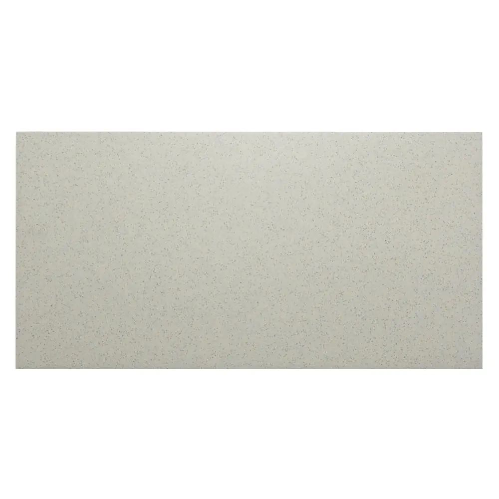 Bodenfliese Villeroy & Boch E3616 2216 913H Granifloor hellgrau 30x60 cm I.Sorte